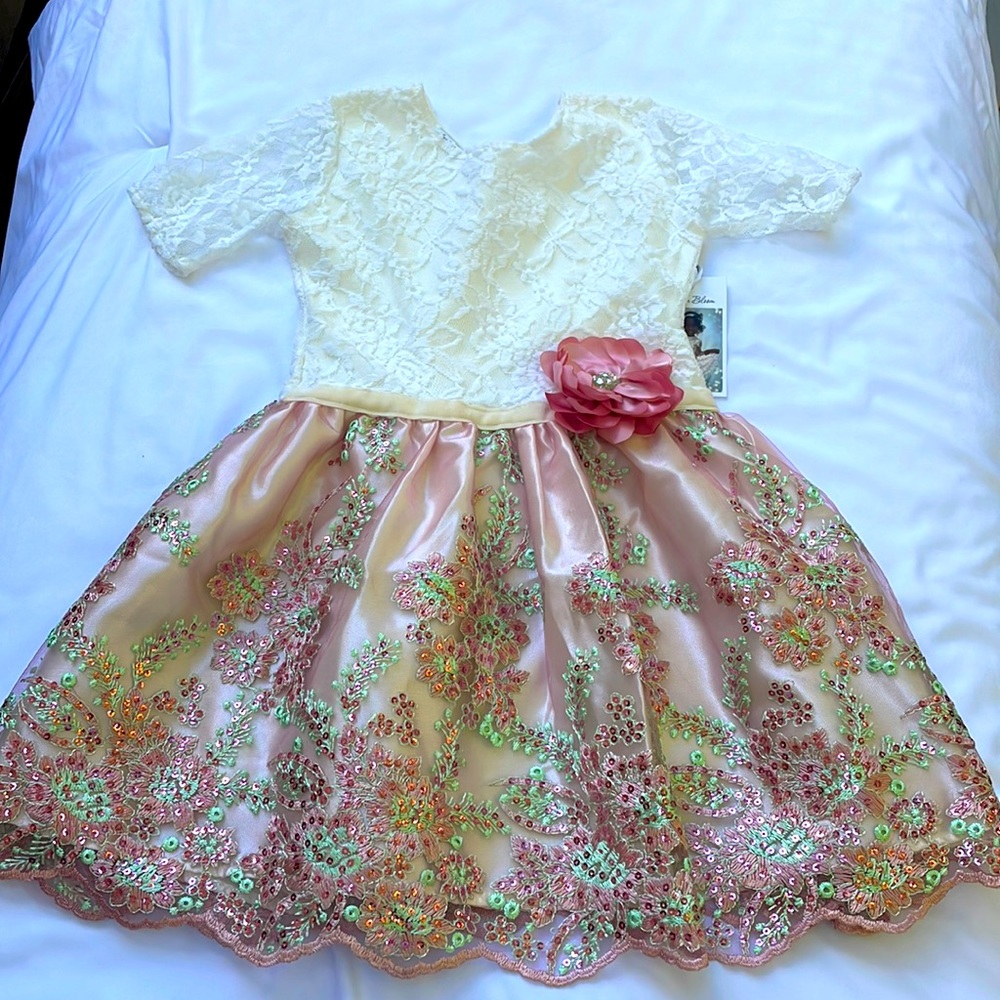 Baby’s in Bloom by Angelique sequined party dress. White, pink & green.